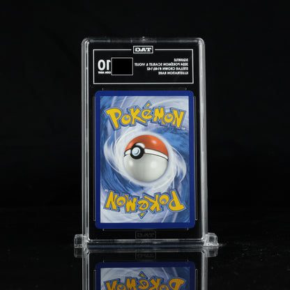 Squirtle 2024 Pokémon #148/142 Stellar Crown GEM MT - TAG 10